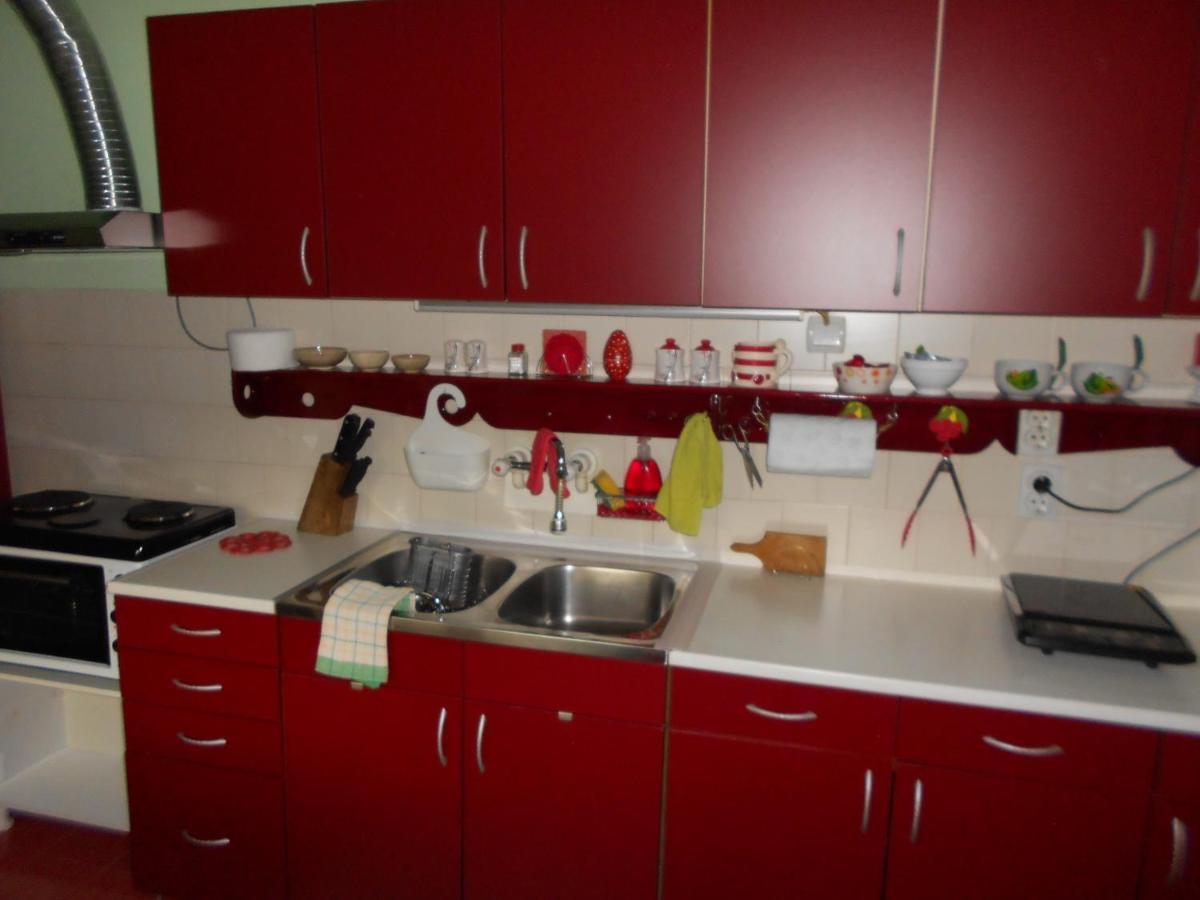 פירוט Apartman "Dom Stankovica" מראה חיצוני תמונה