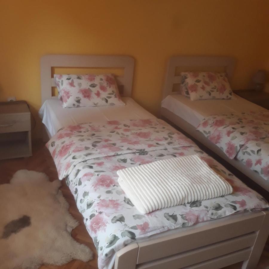 פירוט Apartman "Dom Stankovica" מראה חיצוני תמונה
