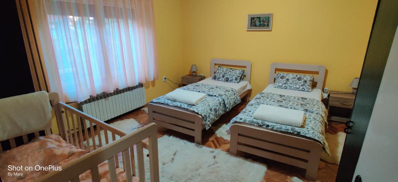 פירוט Apartman "Dom Stankovica" מראה חיצוני תמונה